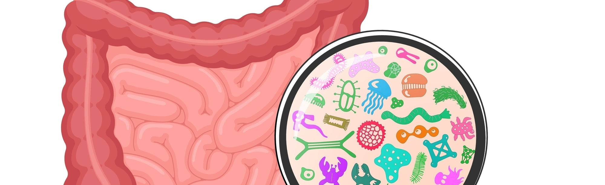 Gut Bacteria Linked to Food Addiction and Obesity