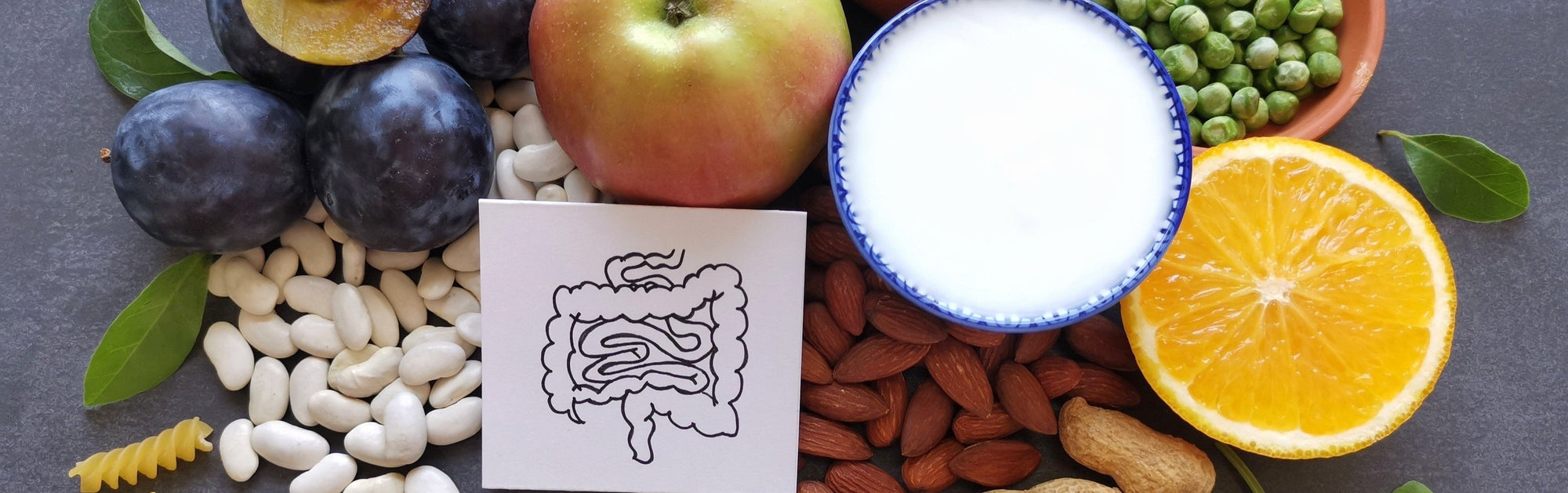 A Healthy Gut Can Turn Back Your Biological Clock